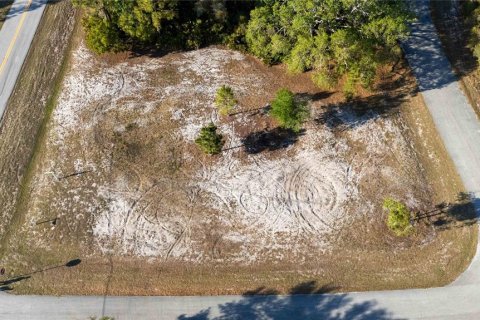 Land in Kissimmee, Florida № 1591073 - photo 2