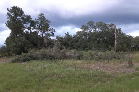 Land in Kissimmee, Florida № 1591073 - photo 1