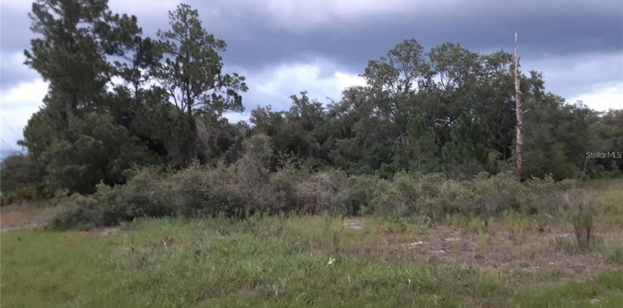 Land in Kissimmee, Florida № 1591073