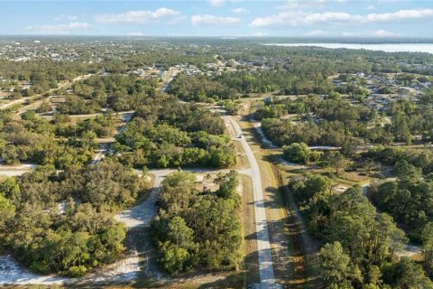 Land in Kissimmee, Florida № 1591073 - photo 13