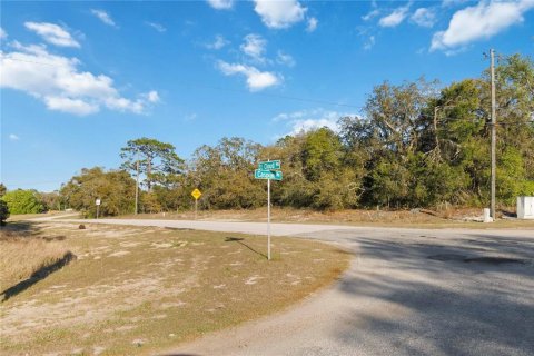Land in Kissimmee, Florida № 1591073 - photo 4