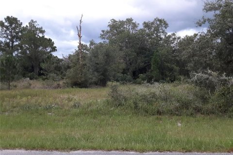 Land in Kissimmee, Florida № 1591073 - photo 6