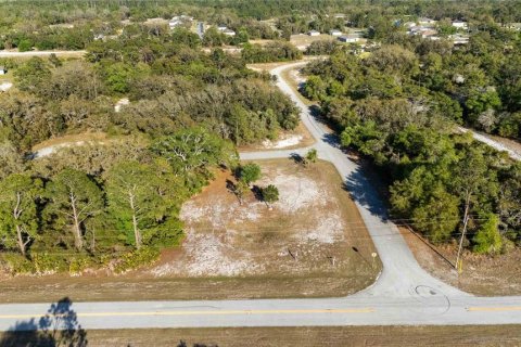 Land in Kissimmee, Florida № 1591073 - photo 5