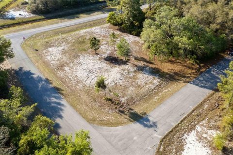 Land in Kissimmee, Florida № 1591073 - photo 3