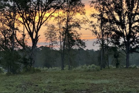 Terreno en venta en Glen Saint Mary, Florida № 772901 - foto 1