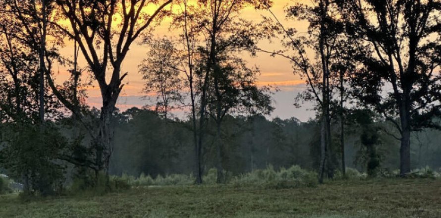 Terreno en Glen Saint Mary, Florida № 772901