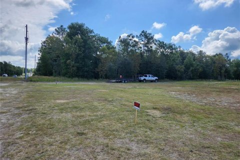 Land in Ocala, Florida № 1540722 - photo 6