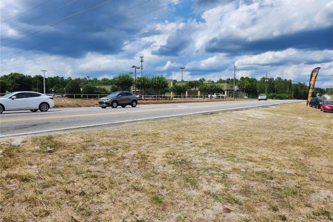 Land in Ocala, Florida № 1540722 - photo 4