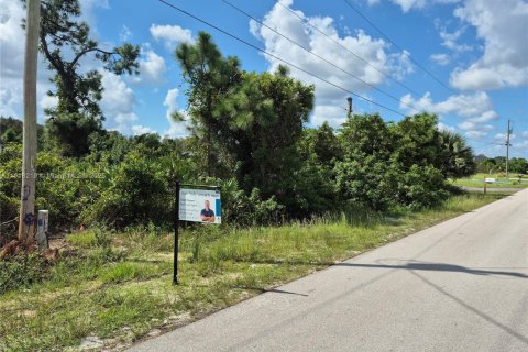 Купить земельный участок в Лихай-Эйкерс, Флорида № 1972670 - фото 4
