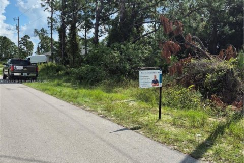 Купить земельный участок в Лихай-Эйкерс, Флорида № 1972670 - фото 2