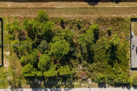 Купить земельный участок в Лихай-Эйкерс, Флорида № 1972670 - фото 9