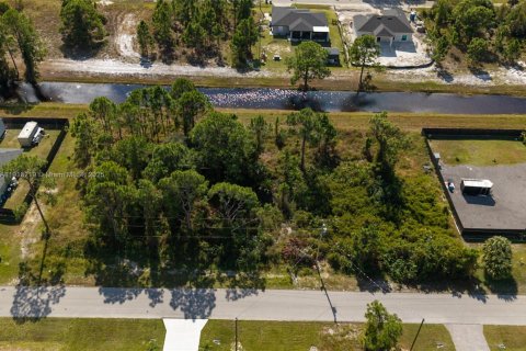 Купить земельный участок в Лихай-Эйкерс, Флорида № 1972670 - фото 8