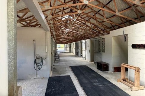 Casa en alquiler en Williston, Florida № 2097823 - foto 6