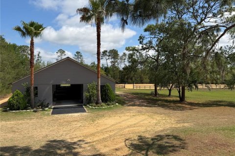 Estudio en Williston, Florida № 2097823