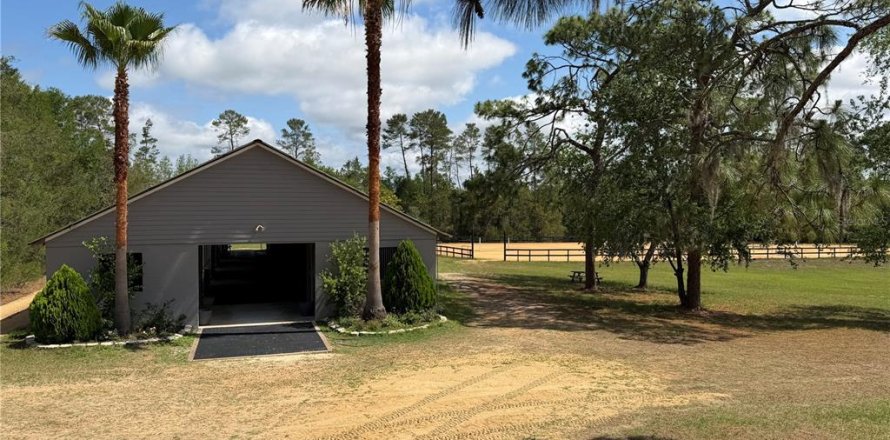 Estudio en Williston, Florida № 2097823
