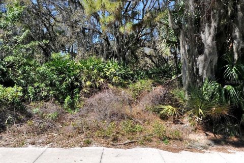 Land in North Port, Florida № 2162881
