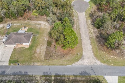 Terrain à vendre à Dunnellon, Floride № 2206311 - photo 6