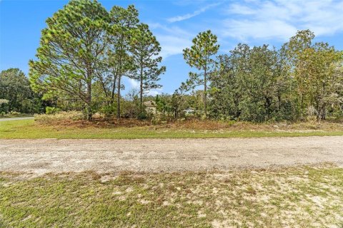 Terrain à vendre à Dunnellon, Floride № 2206311 - photo 8
