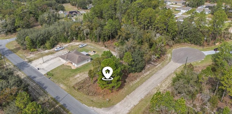 Terrain à Dunnellon, Floride № 2206311