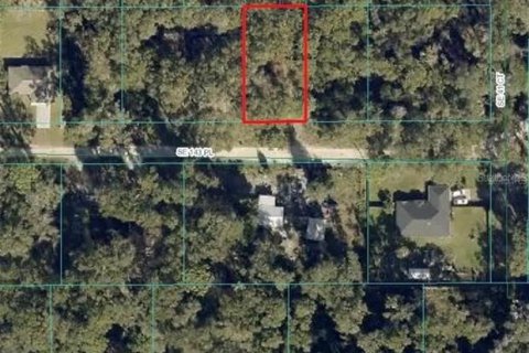 Terrain à Summerfield, Floride № 2218992