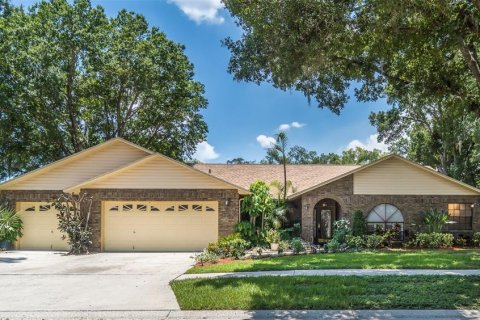 House in Brandon, Florida 3 bedrooms, 205.78 sq.m. № 2216742
