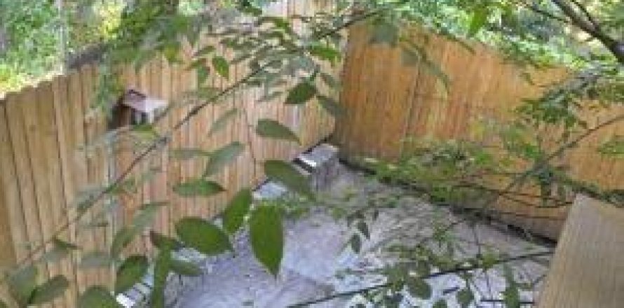 Дом в Джэксонвилл, Флорида 1 спальня, 37.16м2 № 870745