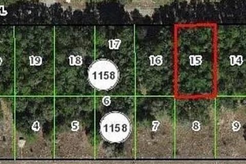Land in Dunnellon, Florida № 2203146 - photo 2