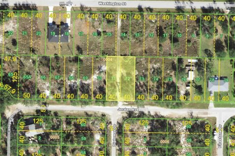 Land in Punta Gorda, Florida № 2165790 - photo 2
