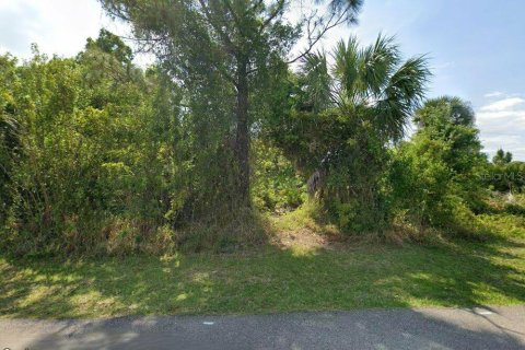 Land in Port Charlotte, Florida № 2165570