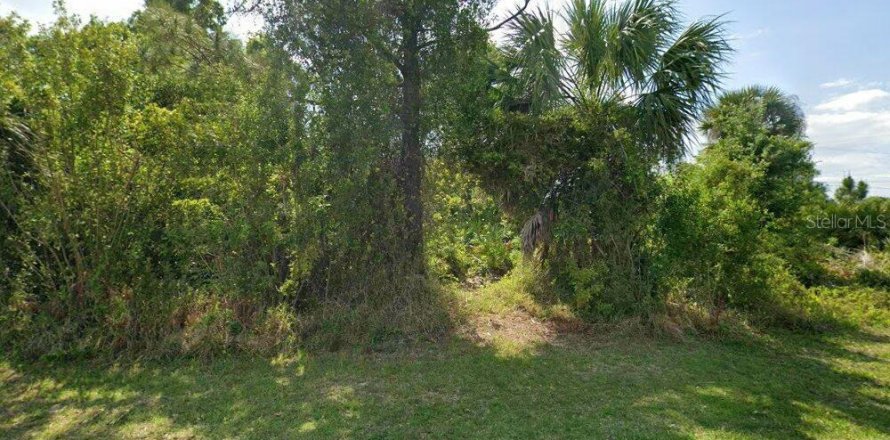 Land in Port Charlotte, Florida № 2165570