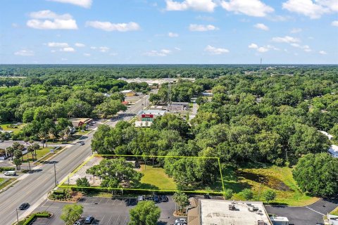 Commercial property in Wildwood, Florida 33.44 sq.m. № 1405795 - photo 10