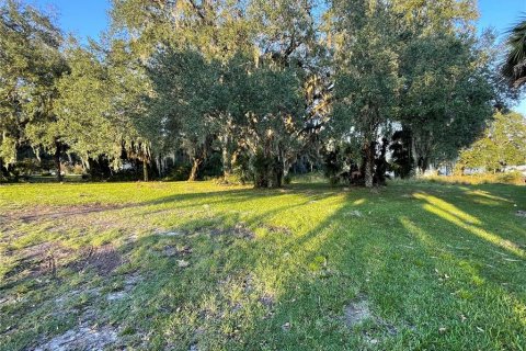 Commercial property in Wildwood, Florida 33.44 sq.m. № 1405795 - photo 7