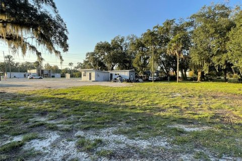 Commercial property in Wildwood, Florida 33.44 sq.m. № 1405795 - photo 6