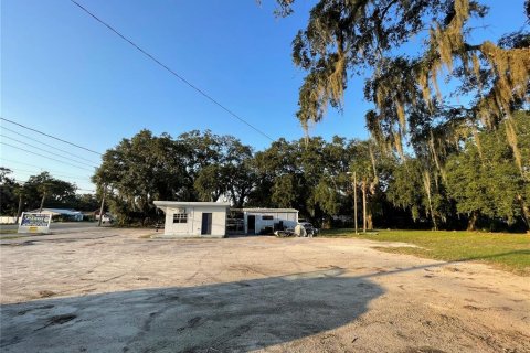 Commercial property in Wildwood, Florida 33.44 sq.m. № 1405795 - photo 5