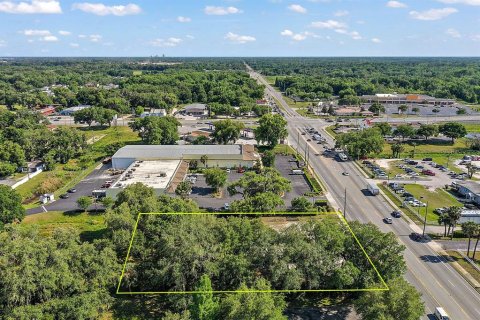Commercial property in Wildwood, Florida 33.44 sq.m. № 1405795 - photo 18