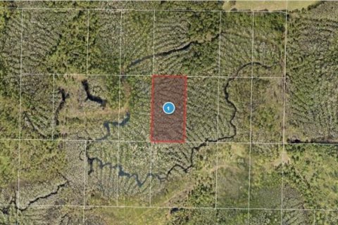 Land in Groveland, Florida № 2161982 - photo 3