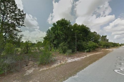 Land in Groveland, Florida № 2161982 - photo 9