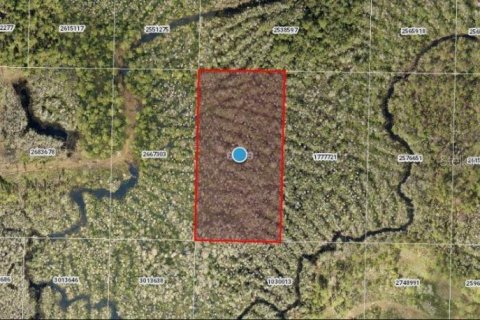 Land in Groveland, Florida № 2161982 - photo 2