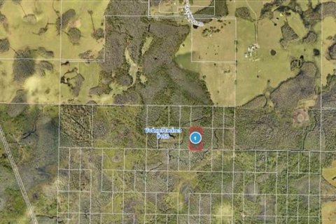 Land in Groveland, Florida № 2161982
