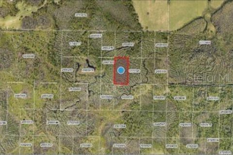 Land in Groveland, Florida № 2161982 - photo 6