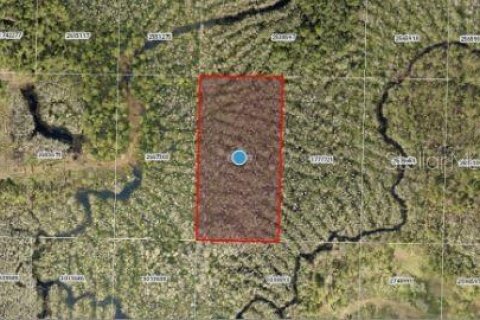 Land in Groveland, Florida № 2161982 - photo 4