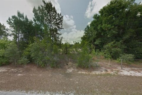 Land in Groveland, Florida № 2161982 - photo 10