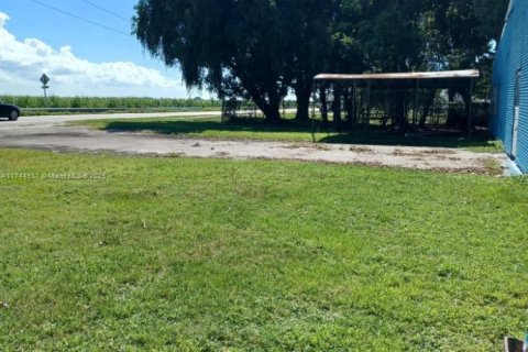 Commercial property in Canal Point, Florida № 1707728 - photo 4