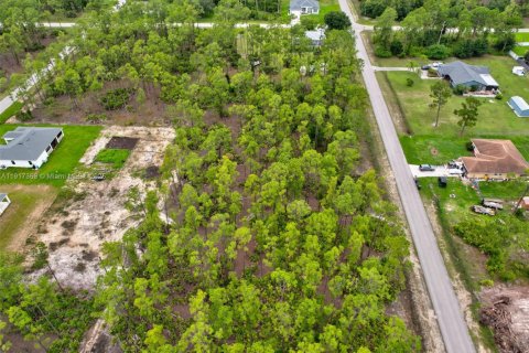 Commercial property in Lehigh Acres, Florida № 1972629 - photo 4