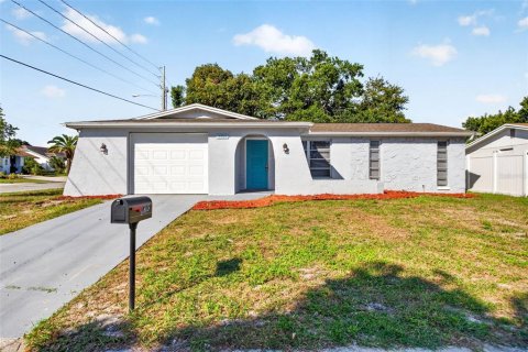 Villa ou maison à Port Richey, Floride 3 chambres, 91.6 m2 № 2425498