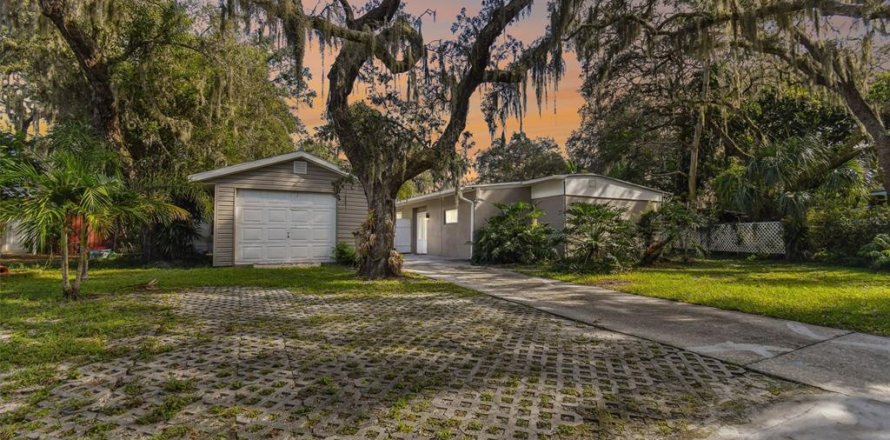 House in Temple Terrace, Florida 5 bedrooms, 209.12 sq.m. № 2217693