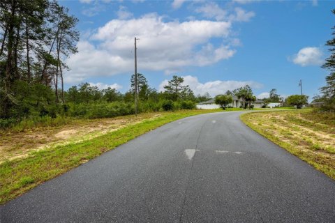 Land in Ocala, Florida № 1765718 - photo 12