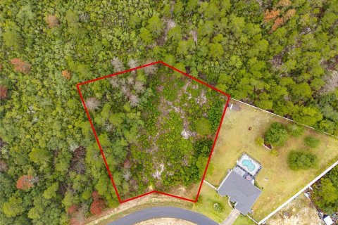 Land in Ocala, Florida № 1765718 - photo 1