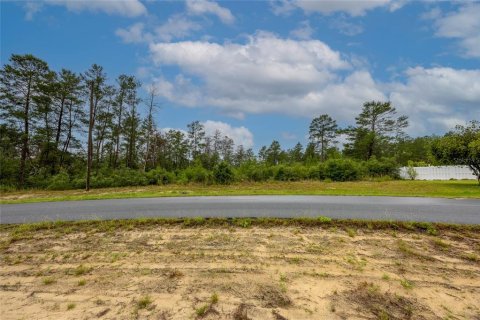 Land in Ocala, Florida № 1765718 - photo 11