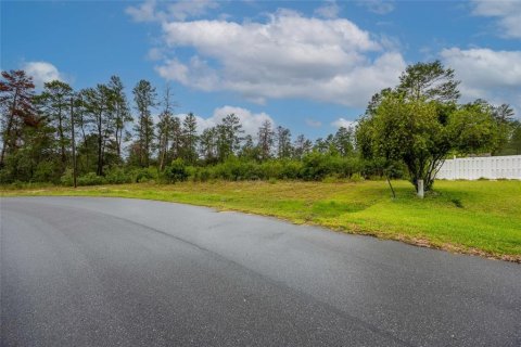 Land in Ocala, Florida № 1765718 - photo 9